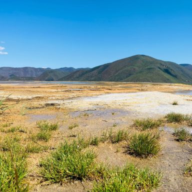 Paysage aride avec des montagnes en arrière-plan et des herbes sèches au premier plan.