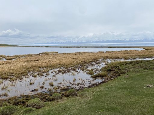 Vaste paysage de marais avec des montagnes en arrière-plan sous un ciel nuageux.