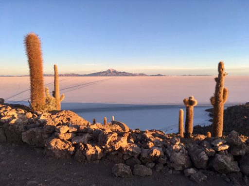 Paysage désertique avec cactus, vue sur un lac salé et des montagnes à l'horizon.