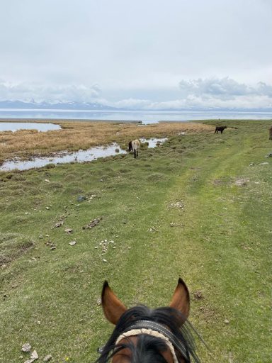 Vue depuis un cheval, avec un chemin herbeux et un paysage lacustre au loin.